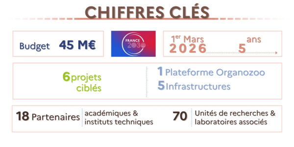 chiffres clés du PEPR Elevages Durables chiffres clés du PEPR Elevages Durables